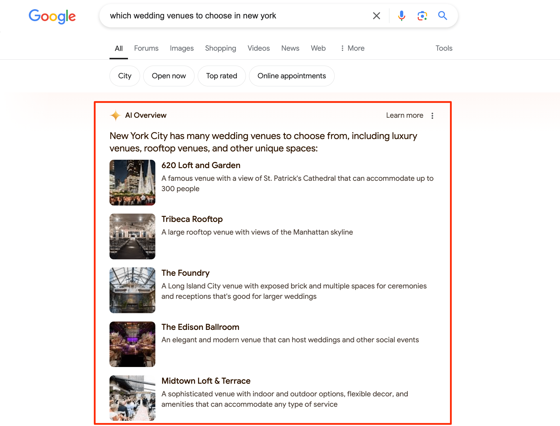 example of AI Overview AI Overview