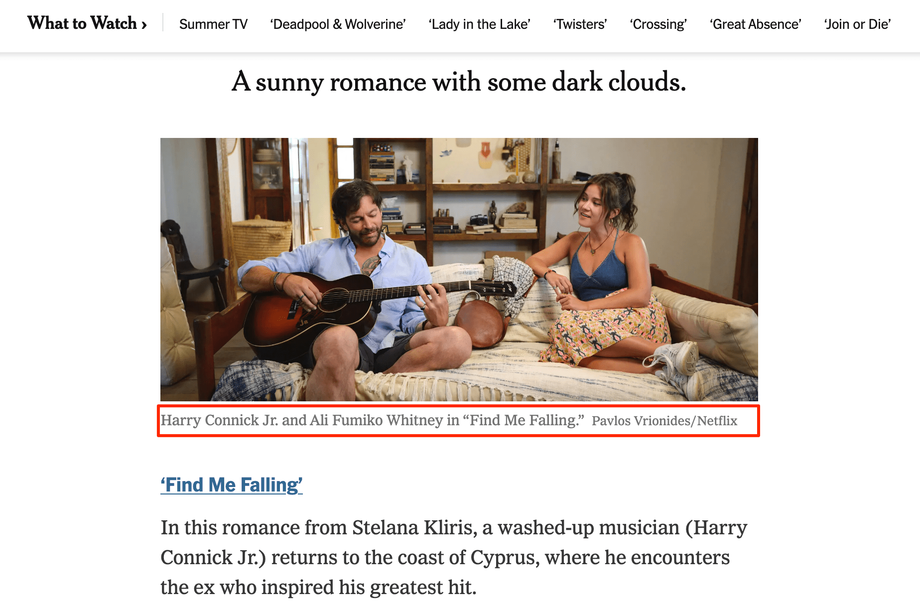 example of image captions image captions
