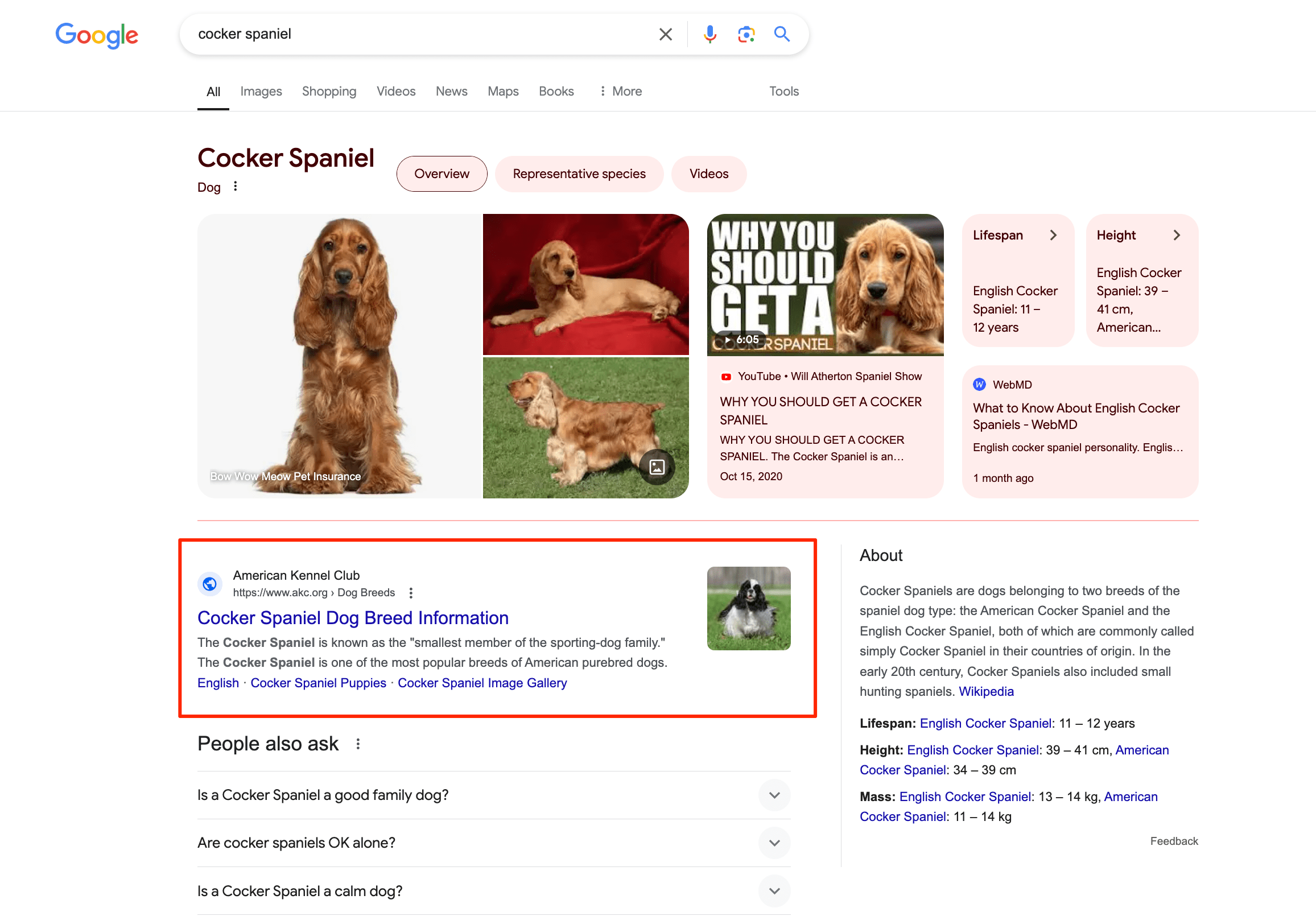 example of text results image text results image
