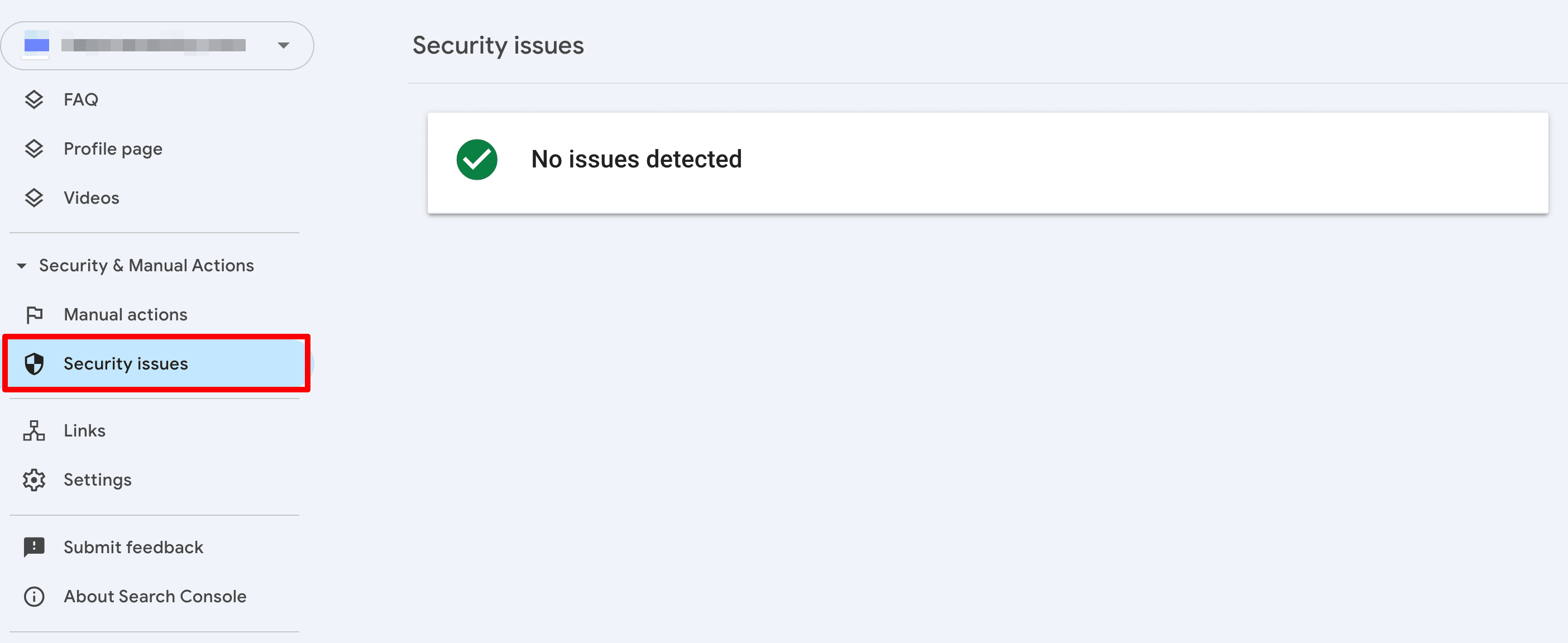 Security issues report Security issues report in GSC